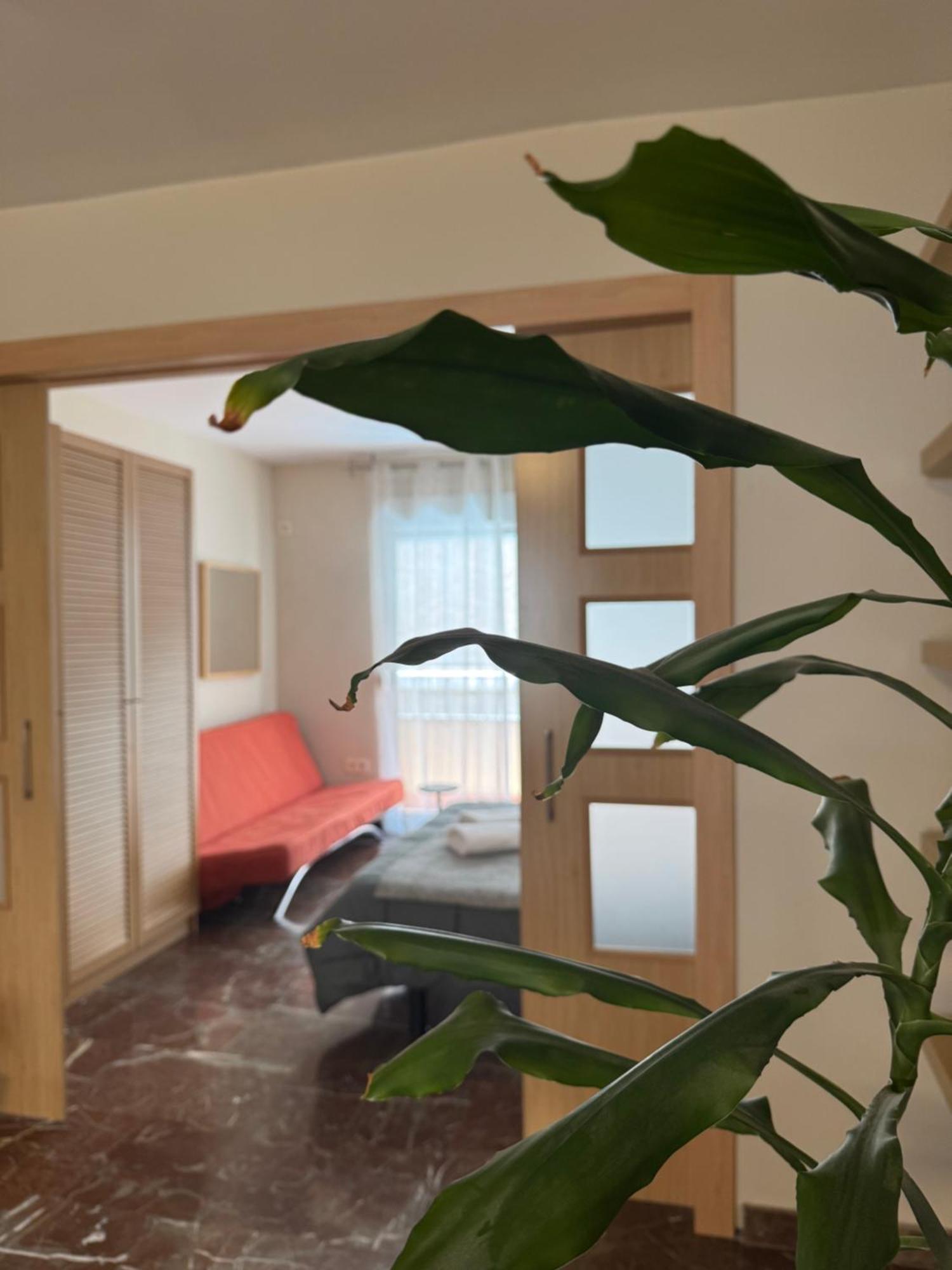 Constitucion Suite Confort D Granada Exterior photo